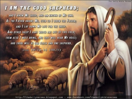 11-november-17-2013-john-10142-jesus-the-true-shepherd-11-638