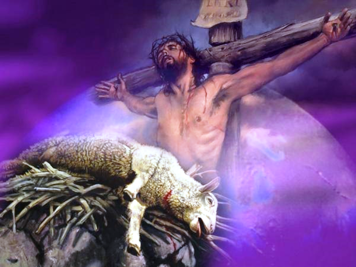 Image result for jesus lamb of god photo